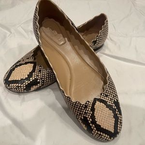 Chloe Lauren ballet flats, sz38 in snakeskin. Good used condition